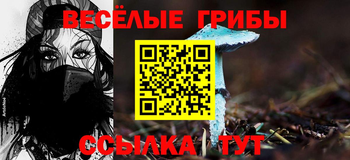 Галлюциногенные грибы мицелий  Вход с VPN  Керчь 